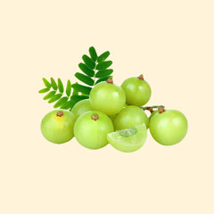 Fresh Amla