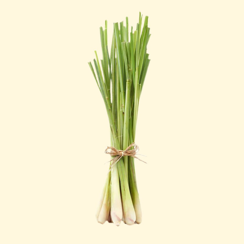 Lemongrass with a zesty twist - perfect for giving your stir fries, curries, and salads a delectable citrusy punch! Add a unique, sharp and sweet flavor to your culinary creations with this natural powerhouse.