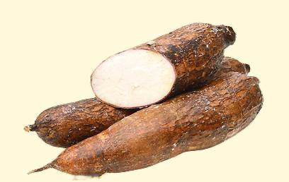 FreshCassava