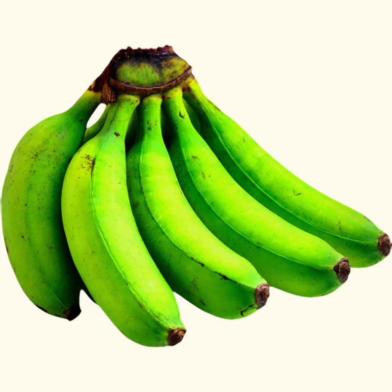    PlantainBanana