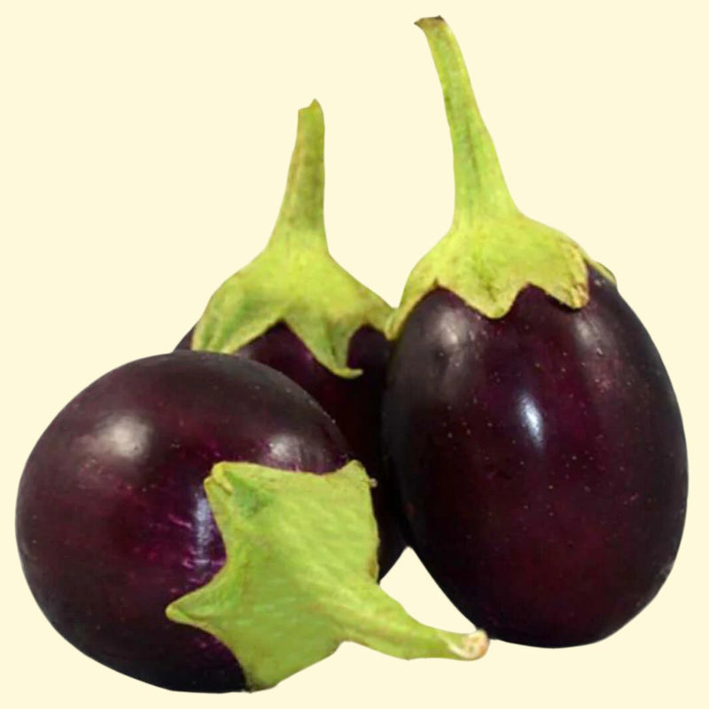 Fresh Brinjal